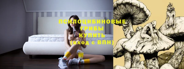 крисы Горняк