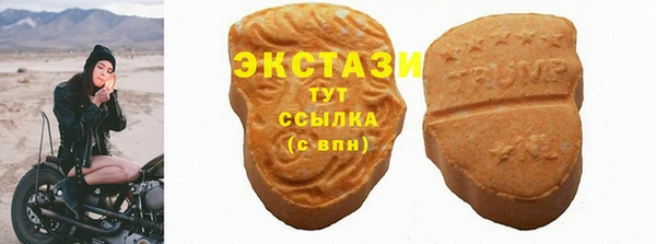 крисы Горняк
