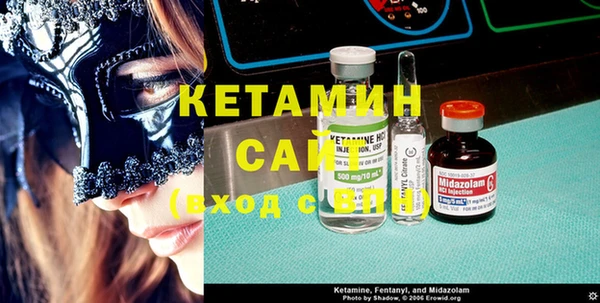 крисы Горняк