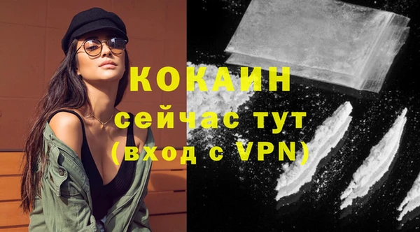 крисы Горняк