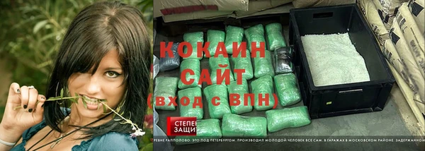 крисы Горняк