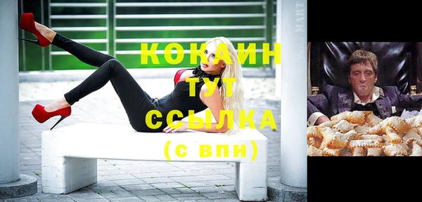 твердый Сатка