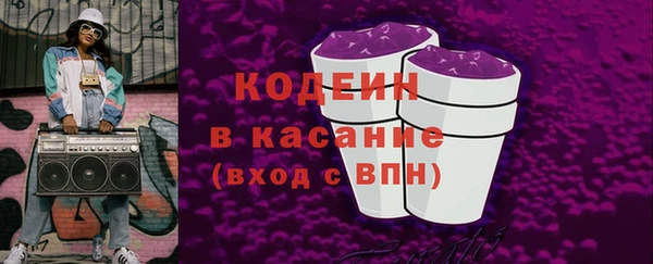крисы Горняк