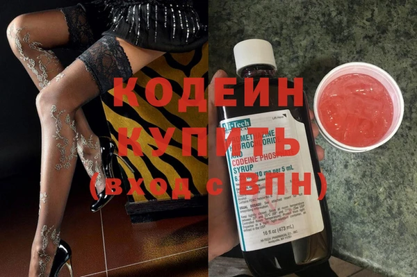 крисы Горняк
