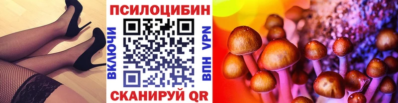 купить наркотик Елец Галлюциногенные грибы прущие грибы