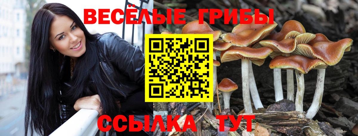 Елец  Галлюциногенные грибы GOLDEN TEACHER  Вход с VPN 